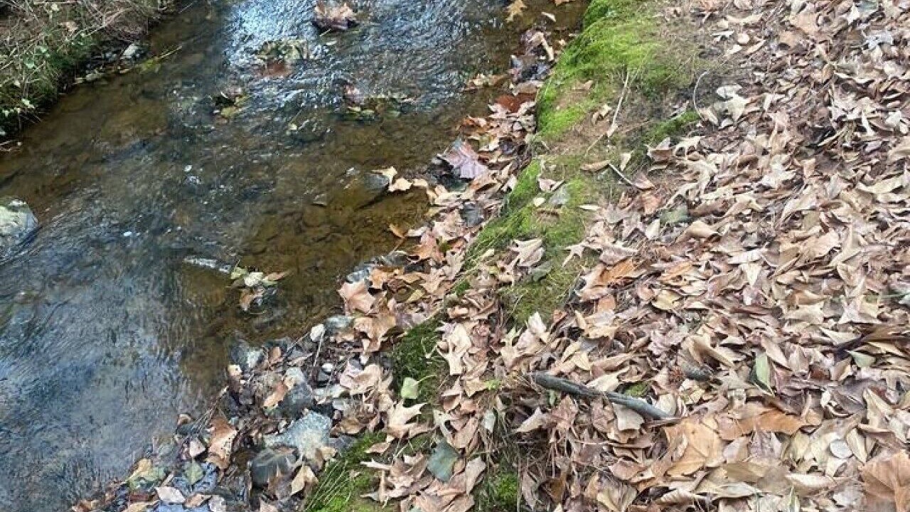 Photo of Others in Greers Ferry