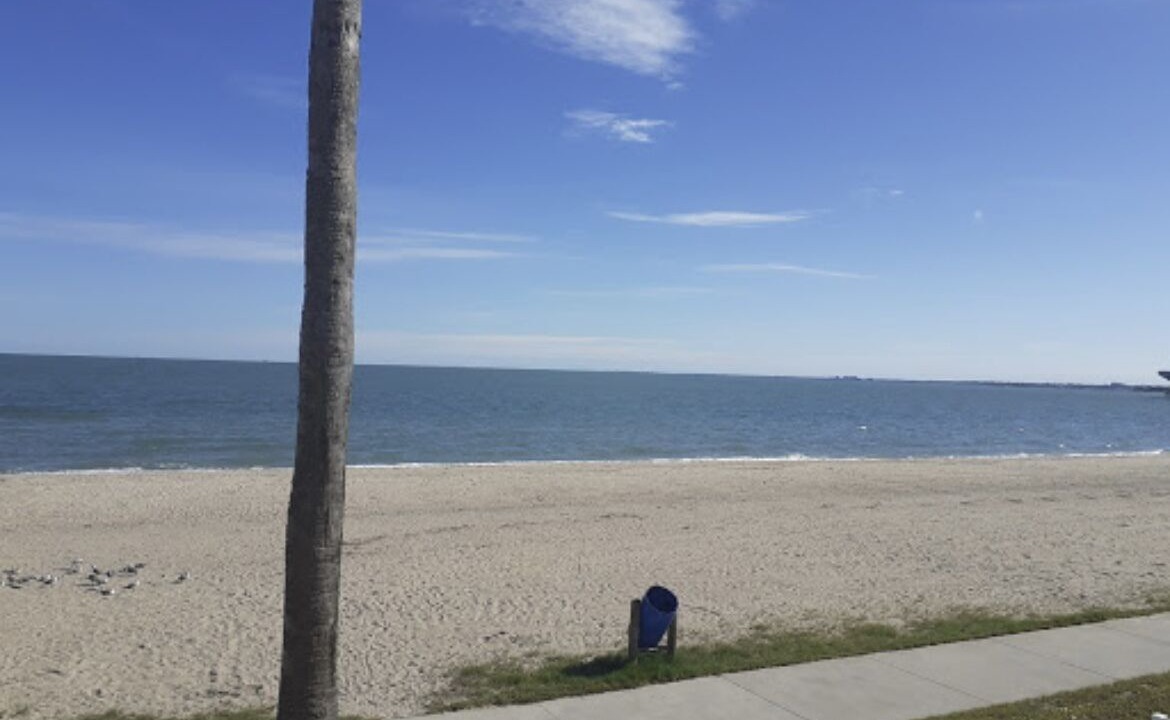 Photo of Others in North Beach
