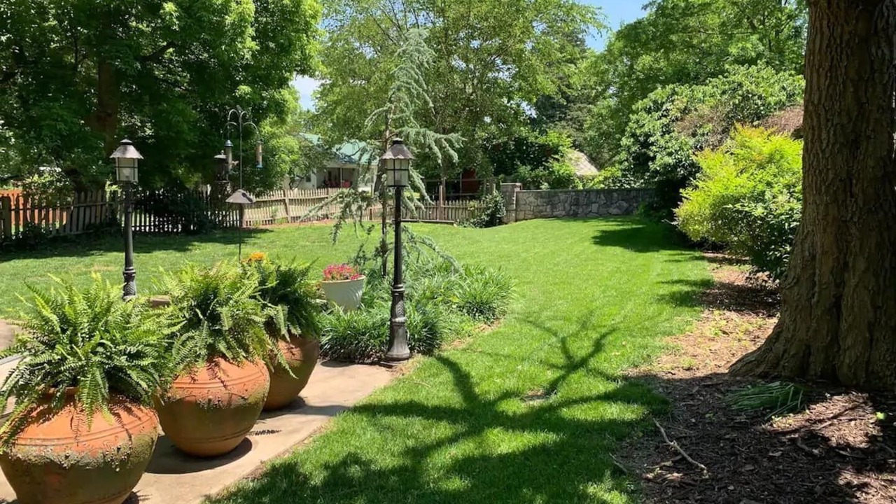 Photo of Outdoor in Springfield