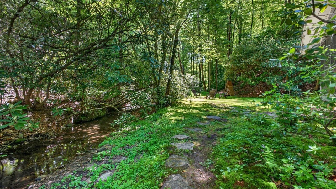 Photo of Others in Pisgah Forest
