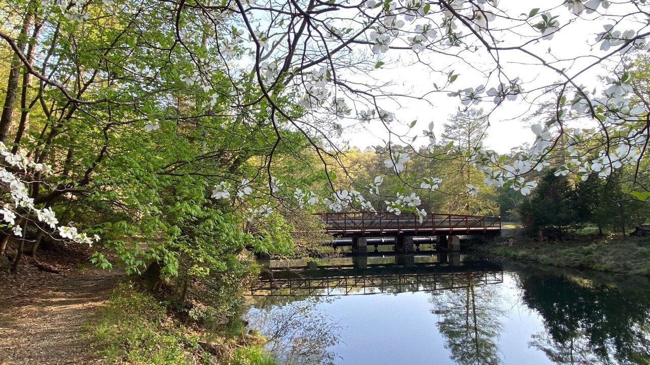 Photo of Outdoor in Hot Springs