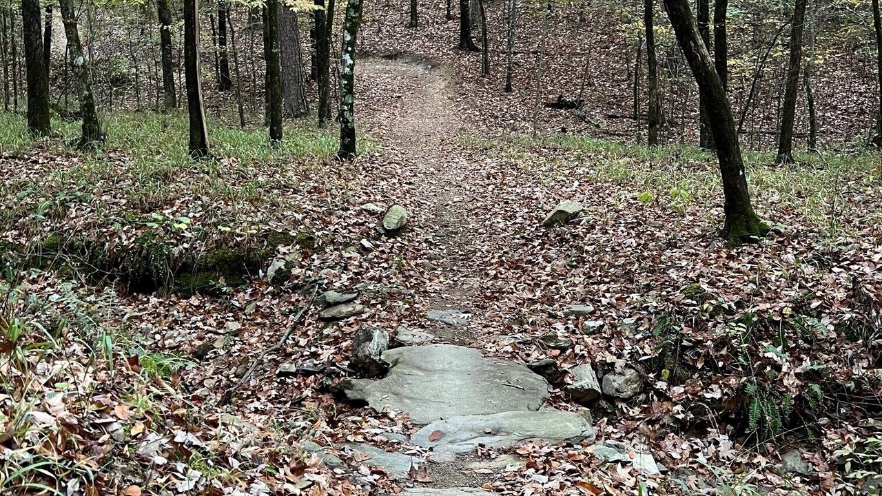 Photo of Outdoor in Hot Springs