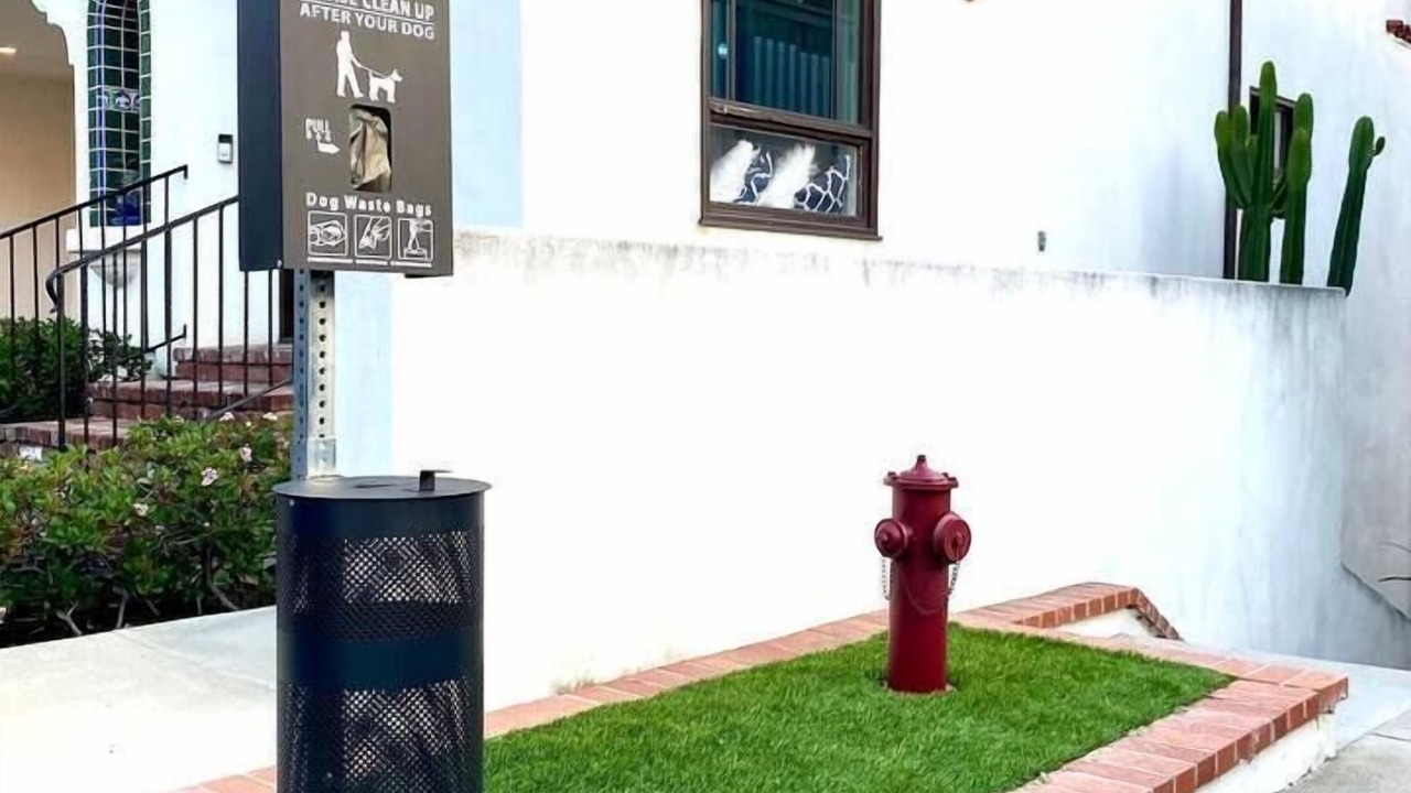 Photo of Others in San Clemente