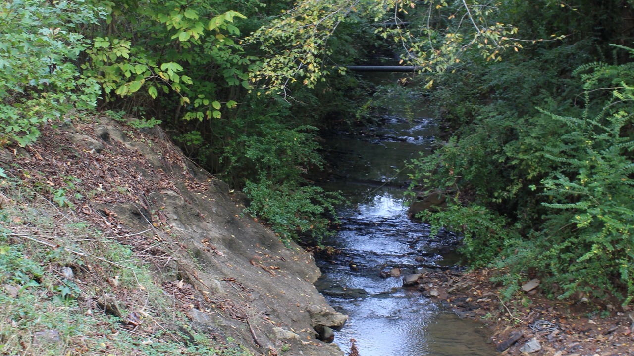 Photo of Others in Little Rock