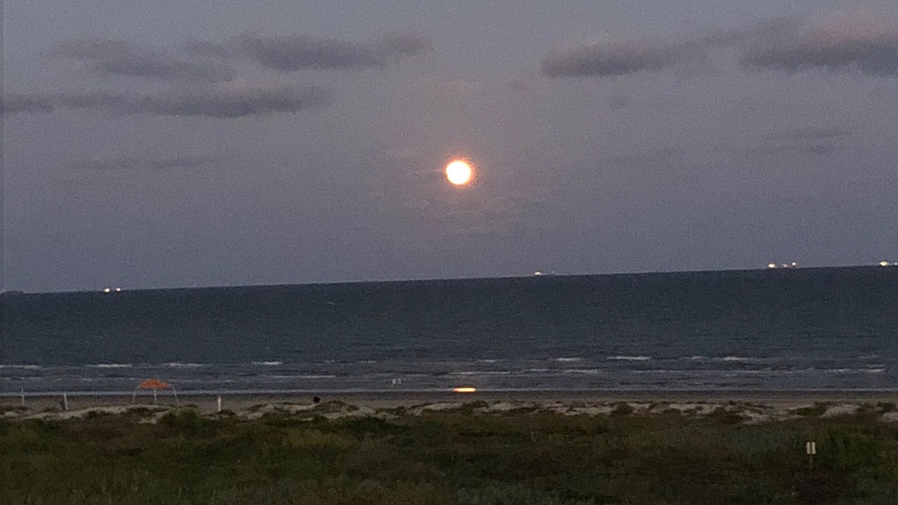 Photo of Others in Galveston