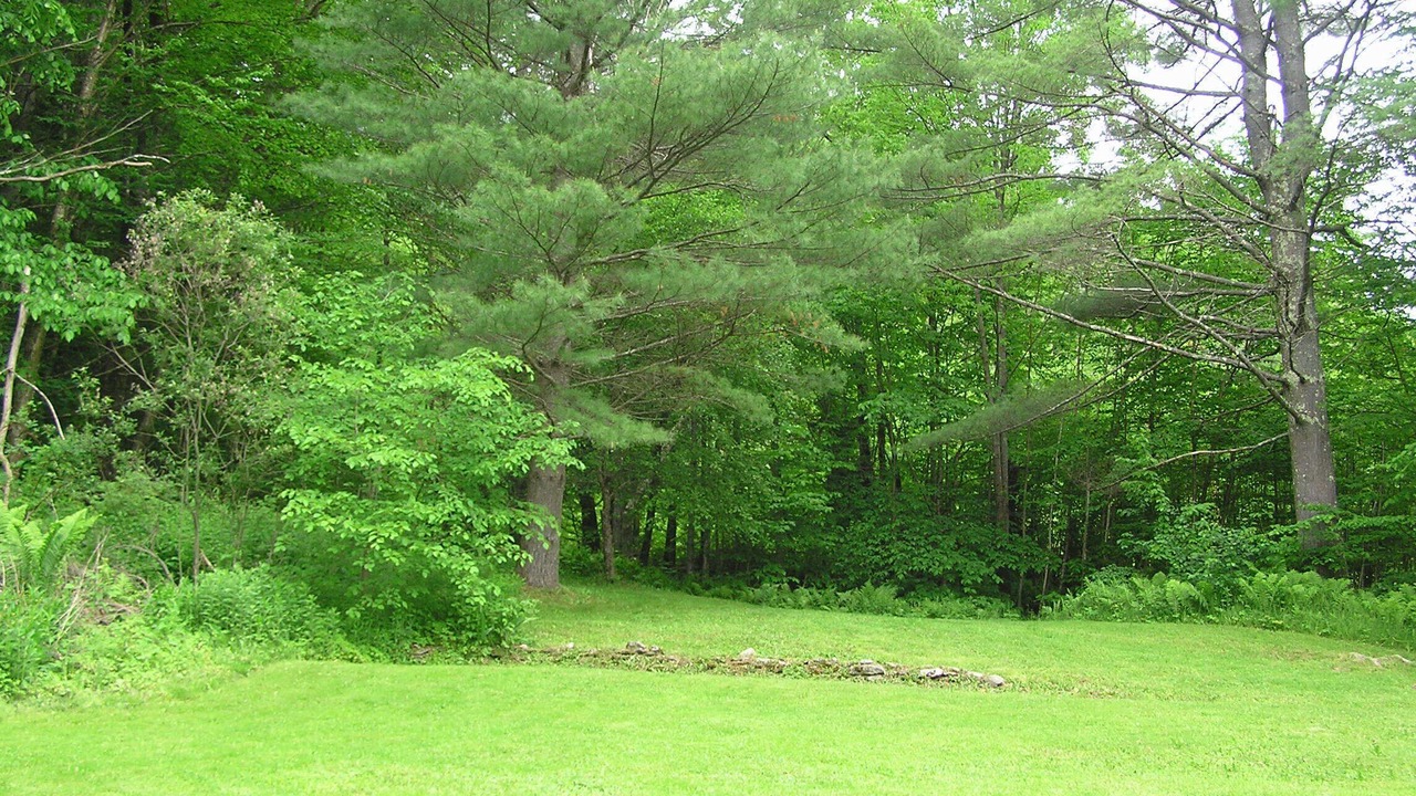 Photo of Others in Hancock