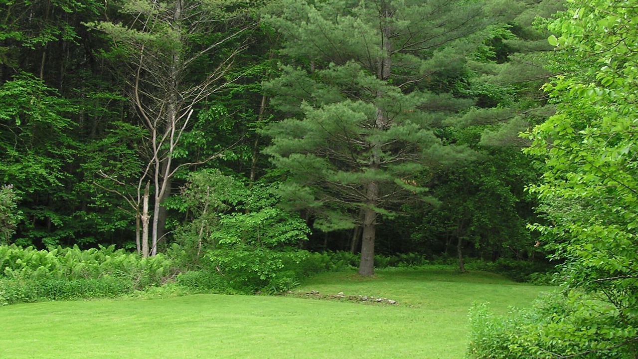 Photo of Others in Hancock