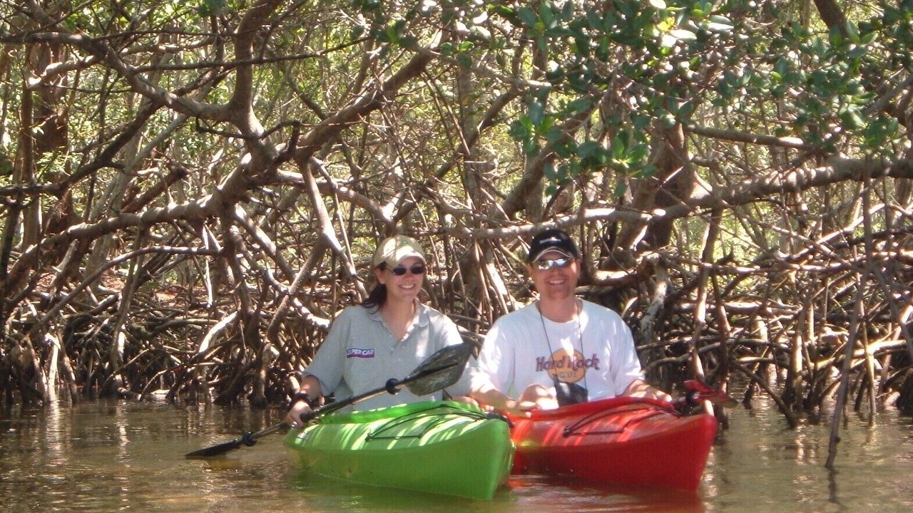 Photo of Others in Ringling Park