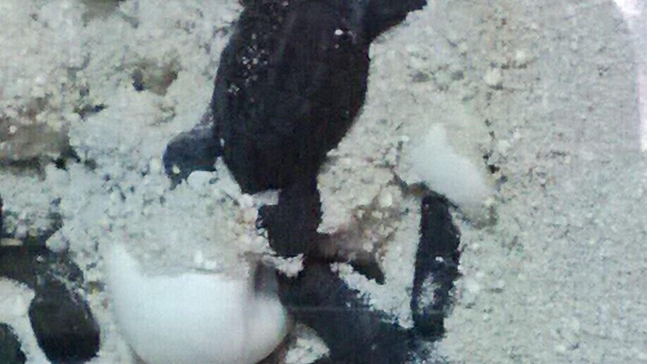 Photo of Others in Corpus Christi