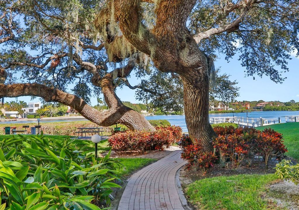 Photo of Outdoor in Siesta Key