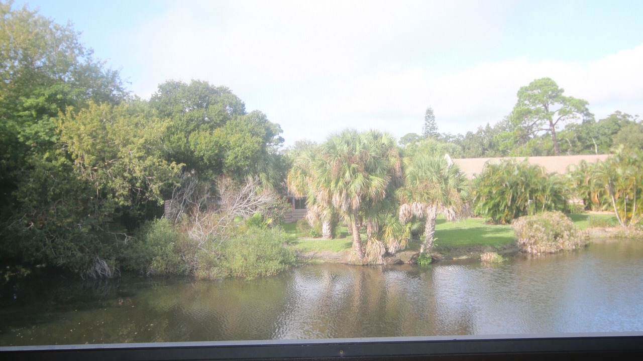 Photo of Others in Gulf Gate Estates