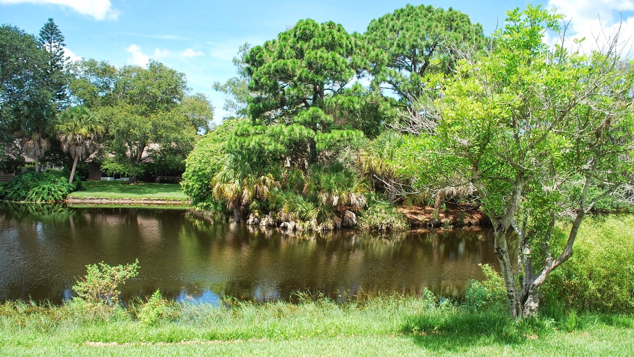 Photo of Outdoor in Gulf Gate Estates
