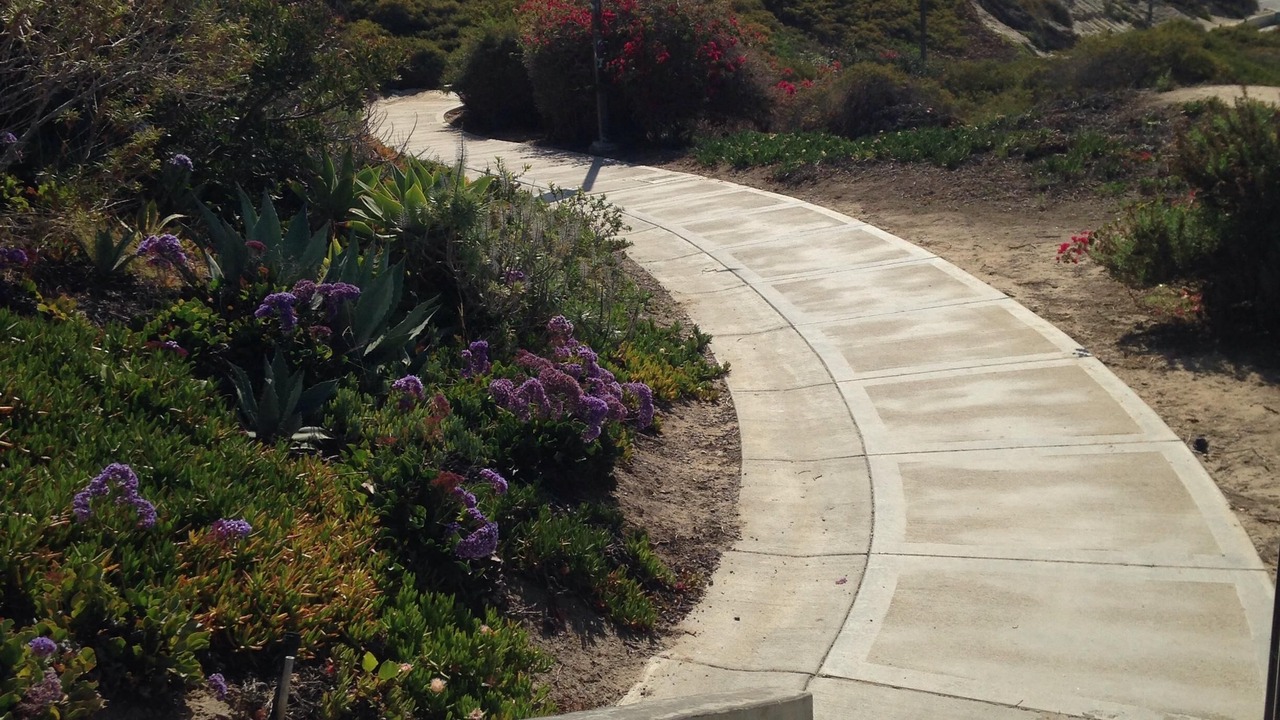 Photo of Others in San Clemente