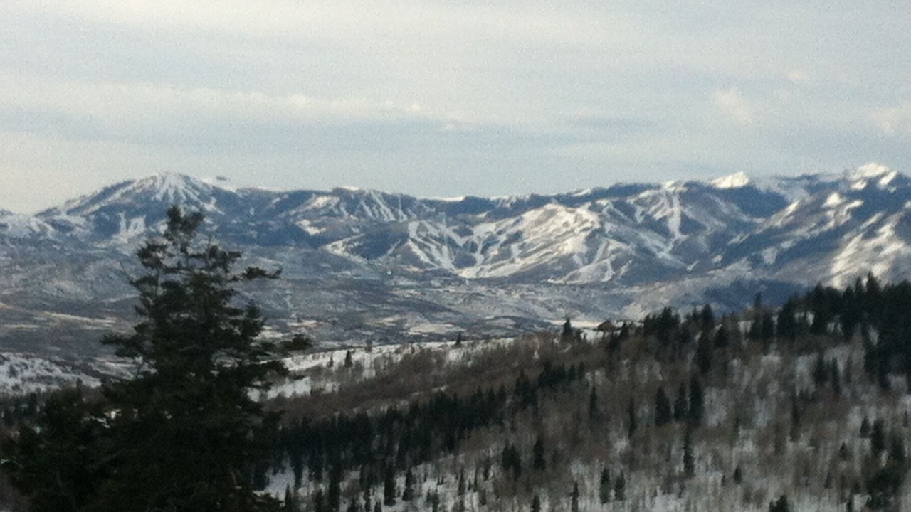 Photo of Others in Tollgate Canyon