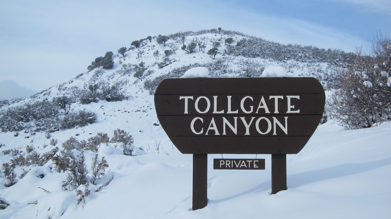 Photo of Others in Tollgate Canyon