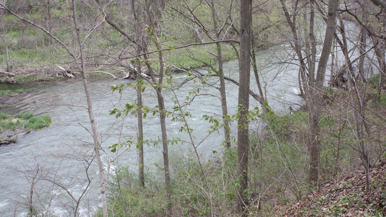 Photo of Outdoor in Town of Milo