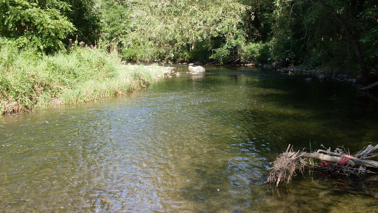 Photo of Outdoor in Town of Milo