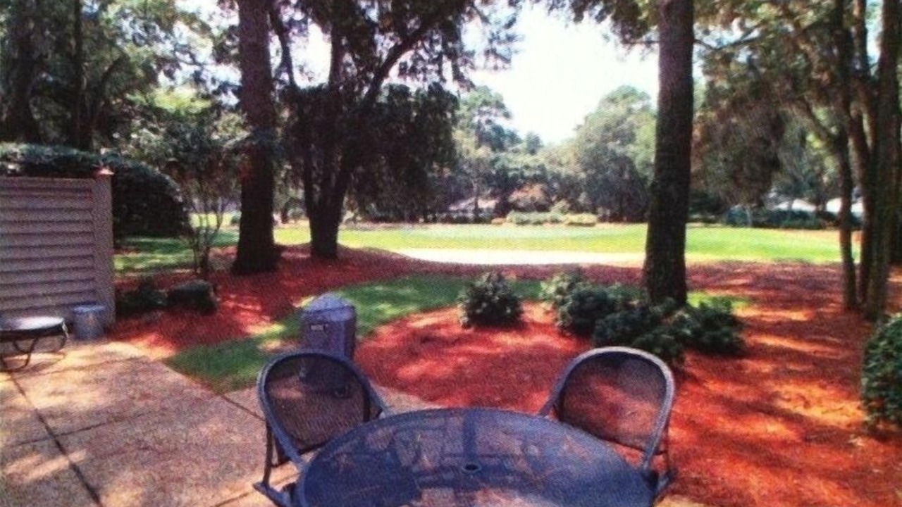 Photo of Others in Sea Pines