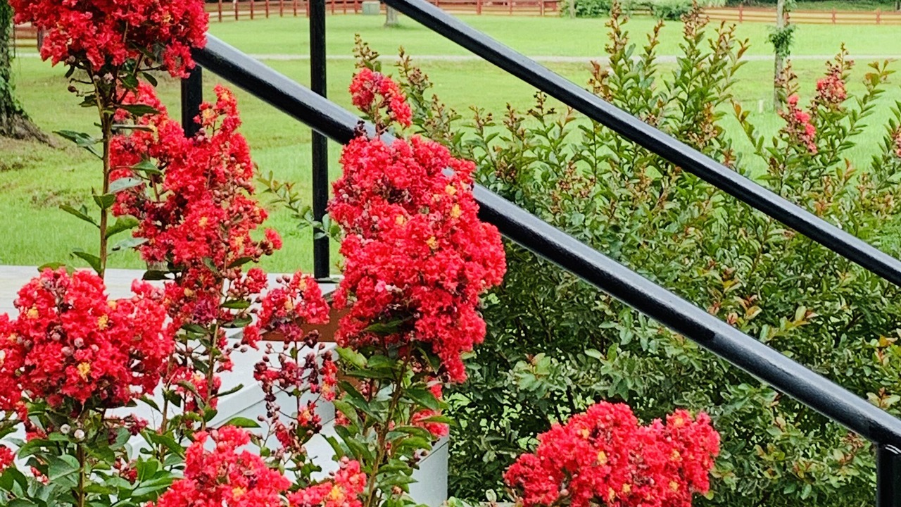 Photo of Outdoor in Washington