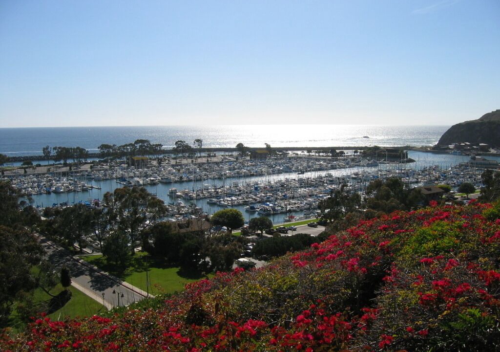 Photo of Others in Dana Point