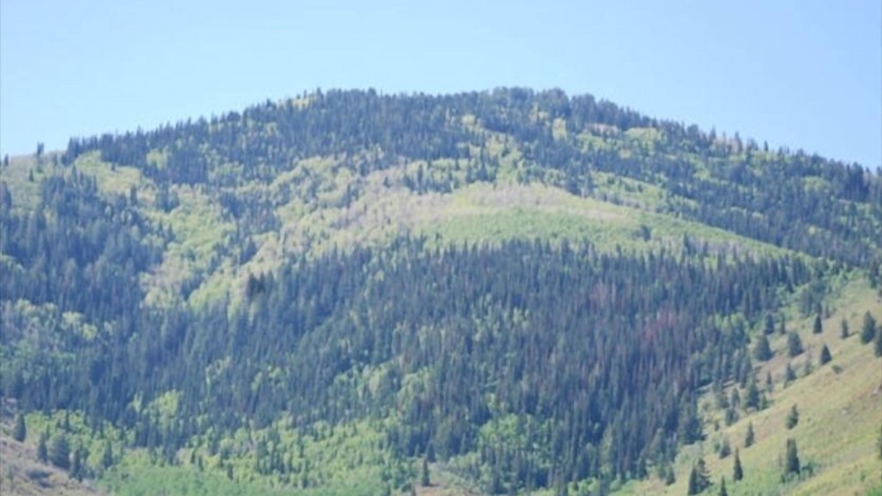 Photo of Others in Park City
