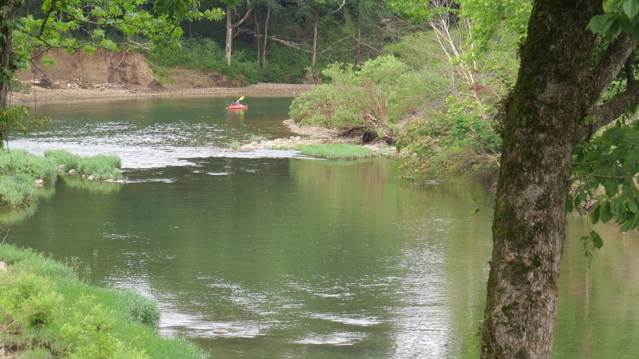 Photo of Others in Bonnerdale