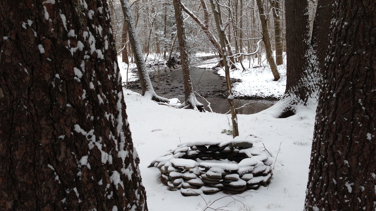 Photo of Others in Saugerties