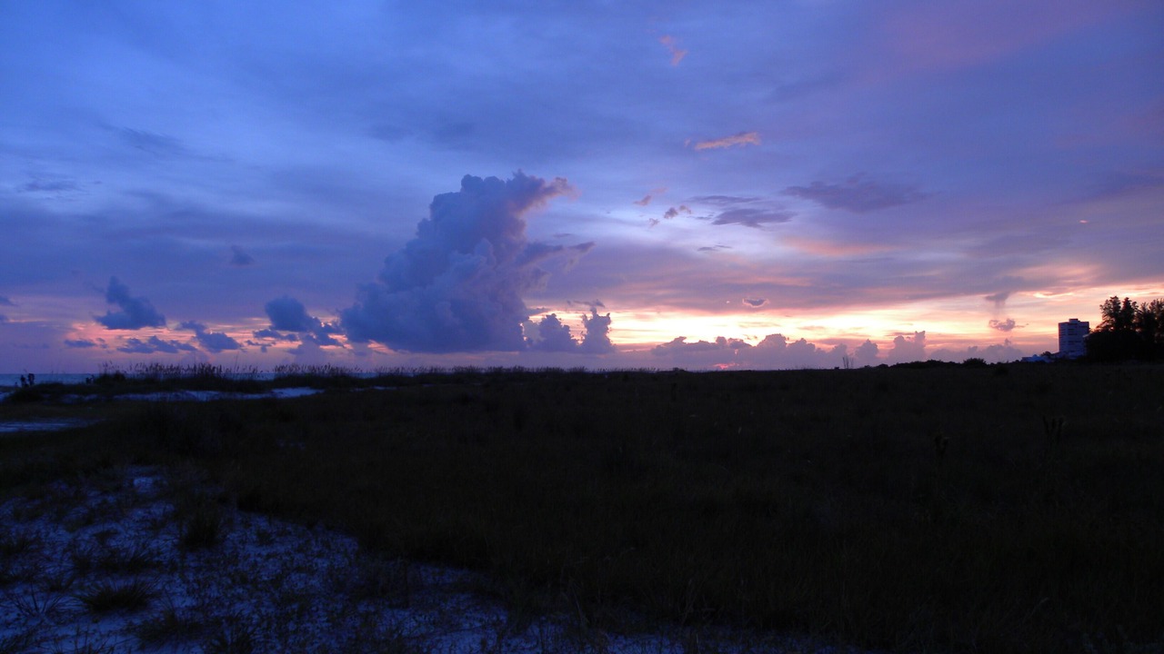 Photo of Others in Siesta Key