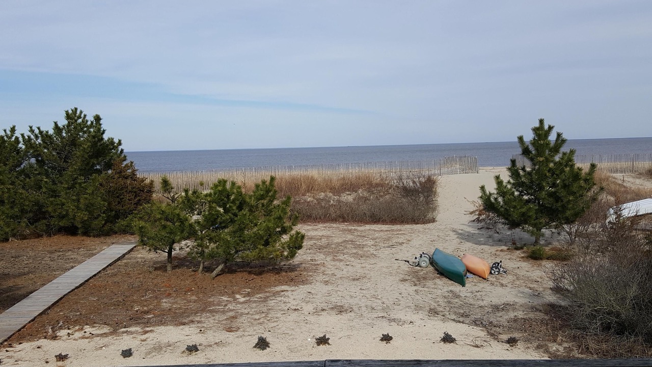Photo of Others in Broadkill Beach