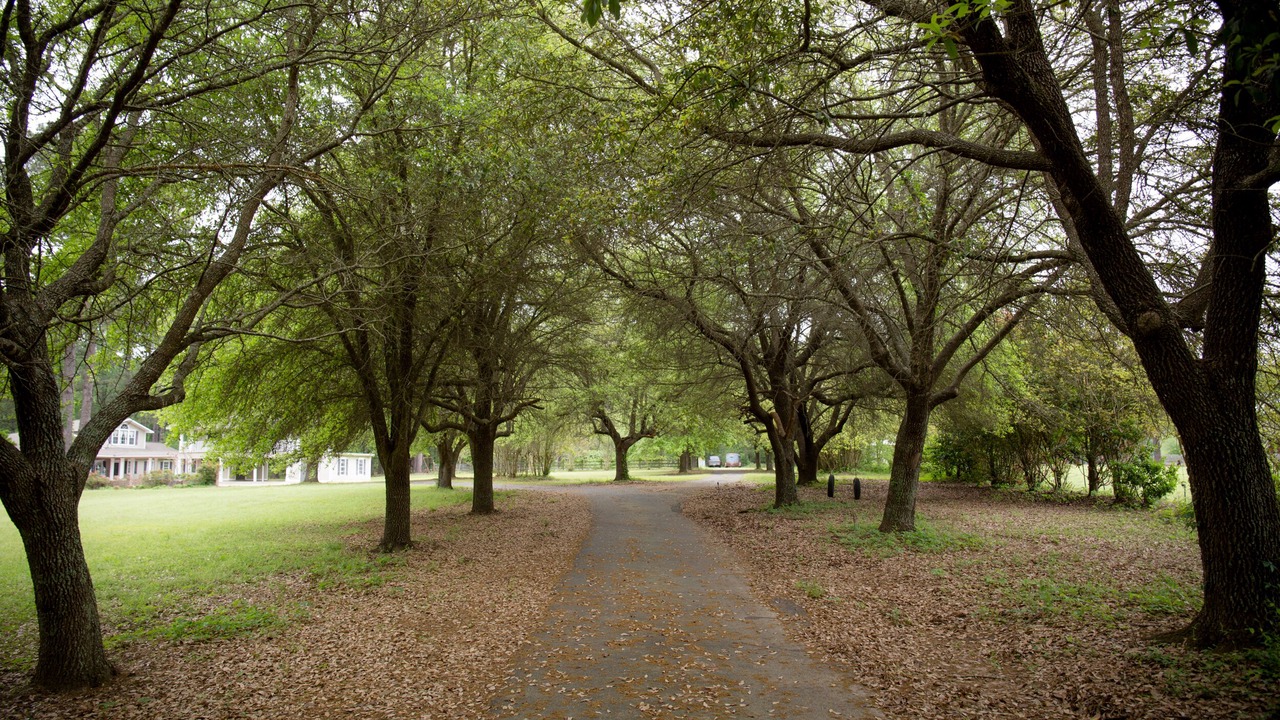 Photo of Others in Greenwood