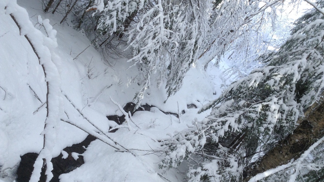 Photo of Others in Stowe Area
