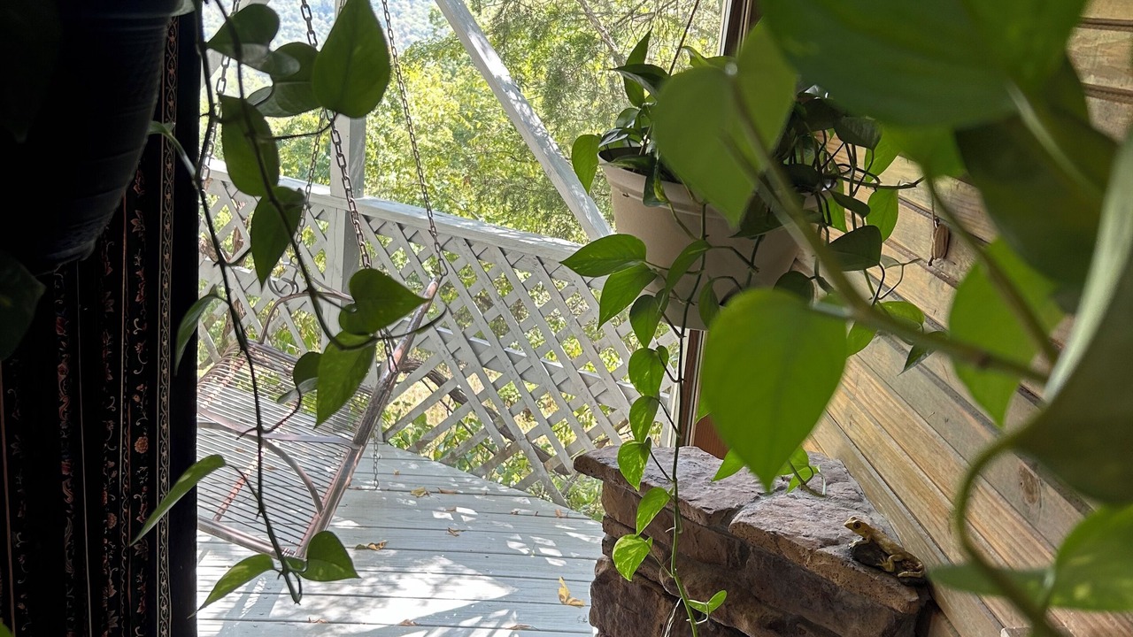 Photo of Outdoor in Eureka Springs