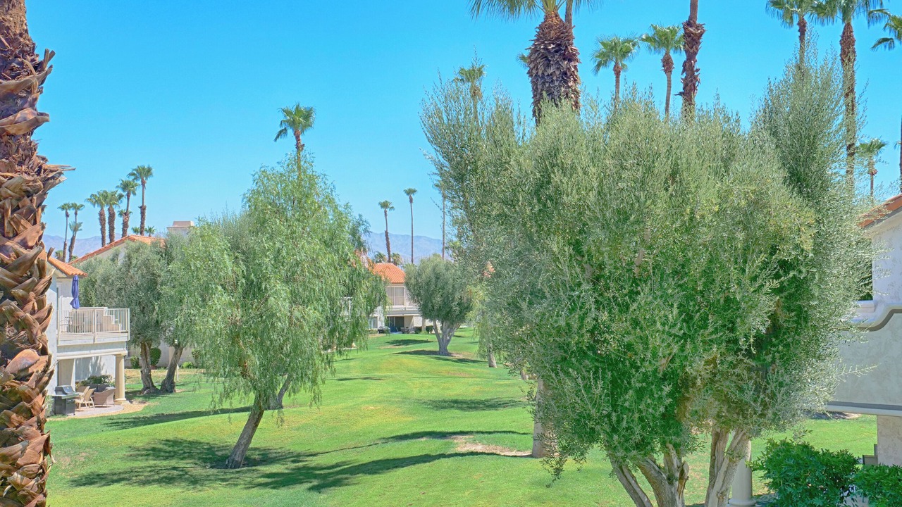Photo of Outdoor in Palm Desert