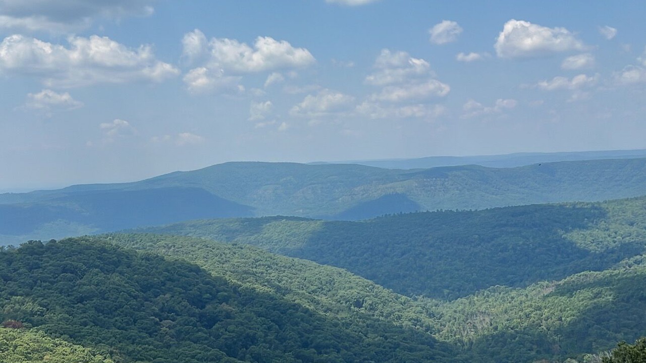 Photo of Others in Pettigrew