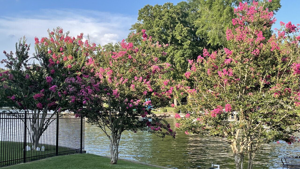 Photo of Outdoor in Rockwell