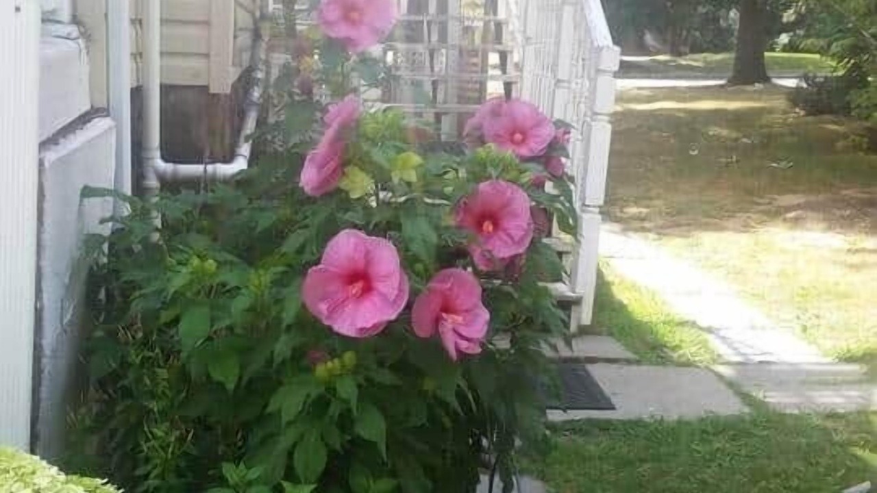Photo of Outdoor in Montclair