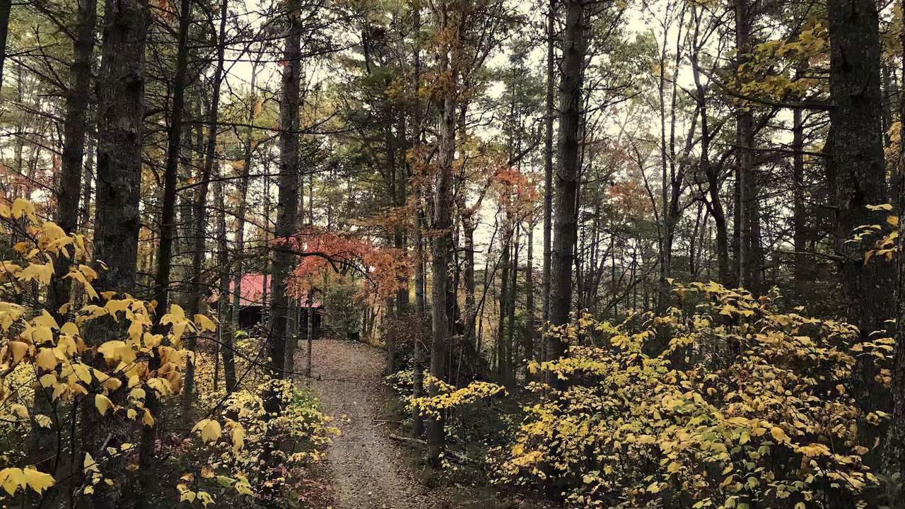 Photo of Others in Marshall
