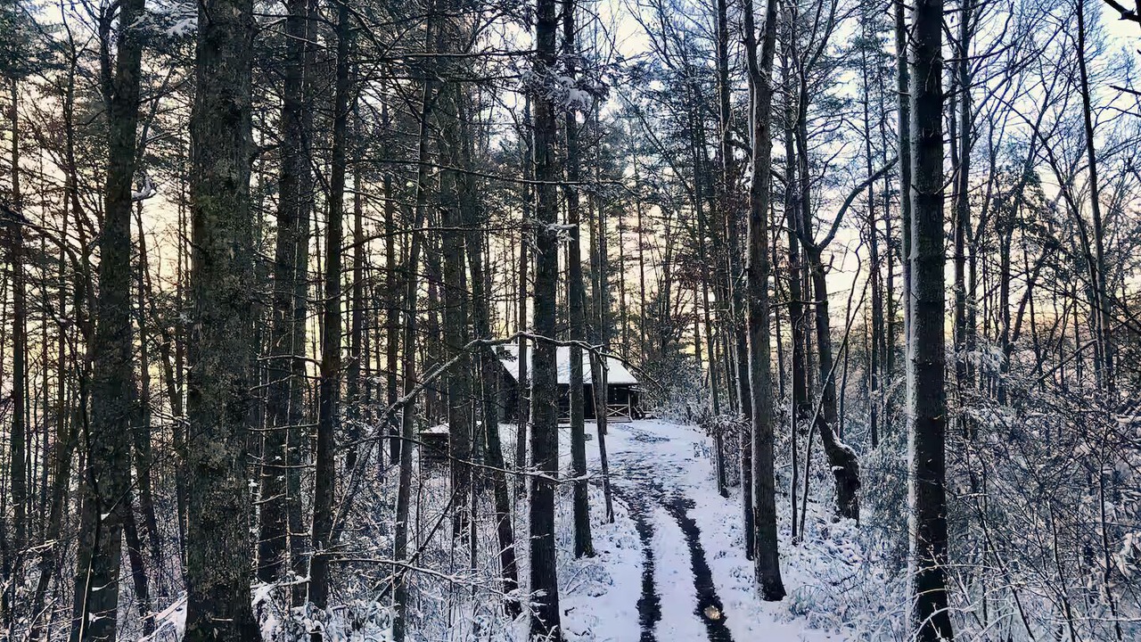 Photo of Others in Marshall
