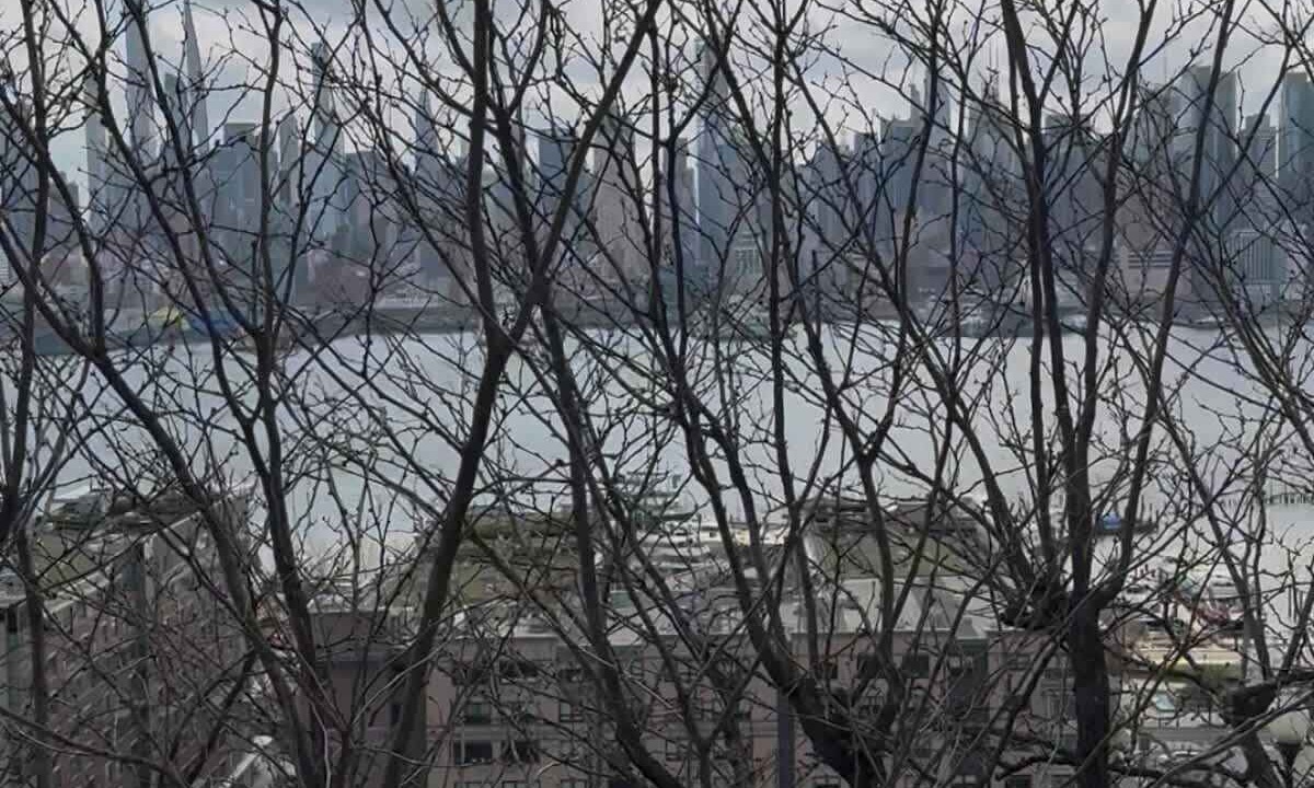 Photo of Others in Weehawken