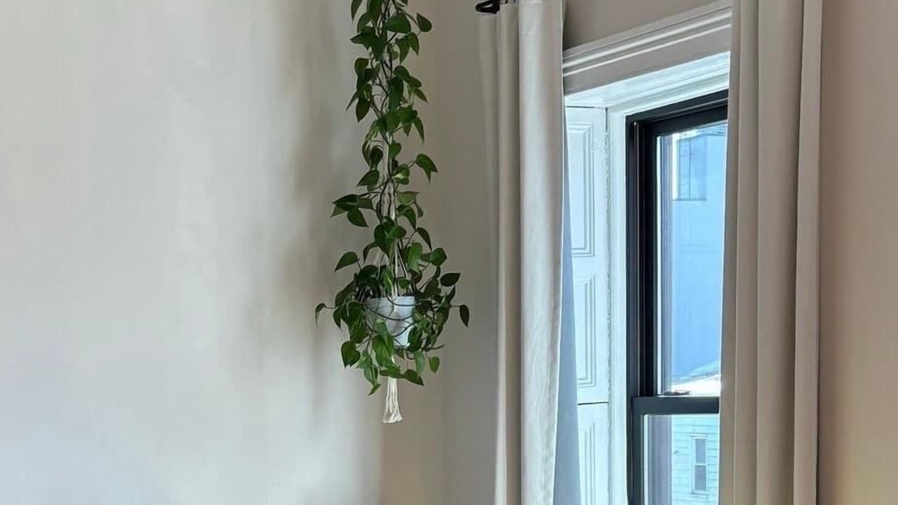 Photo of Bedroom in Bedford-Stuyvesant