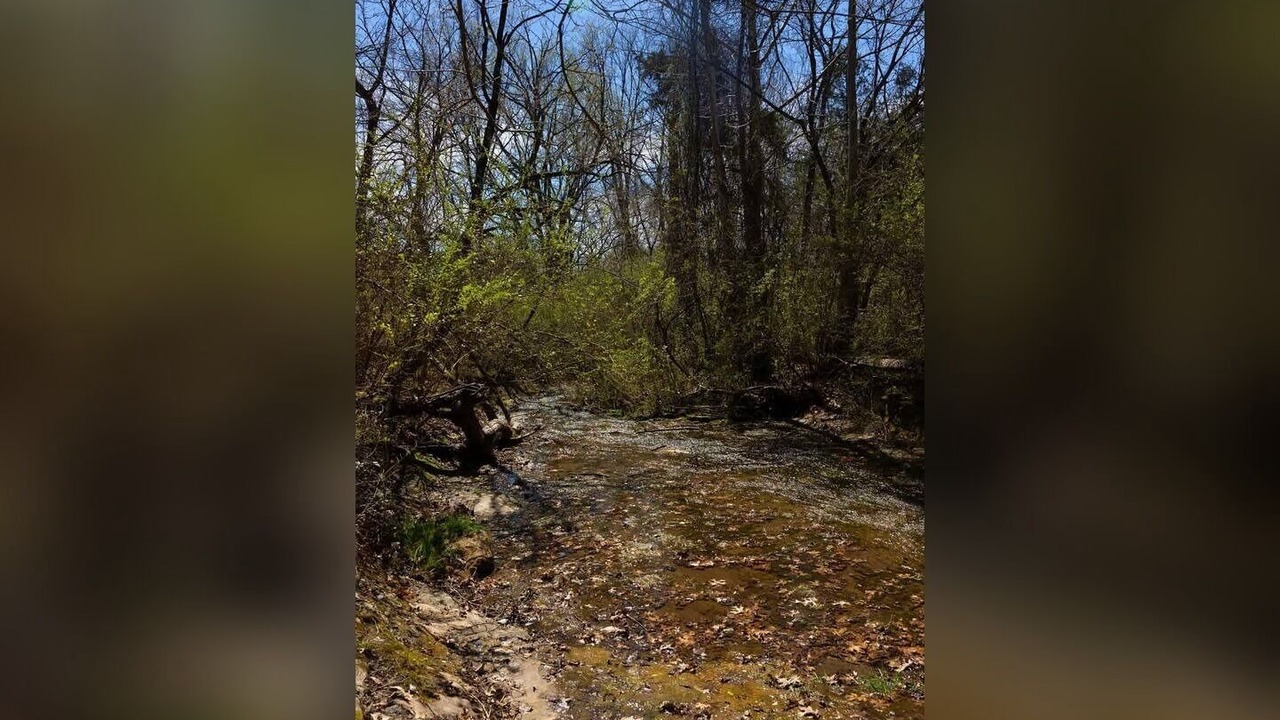 Photo of Others in Calico Rock