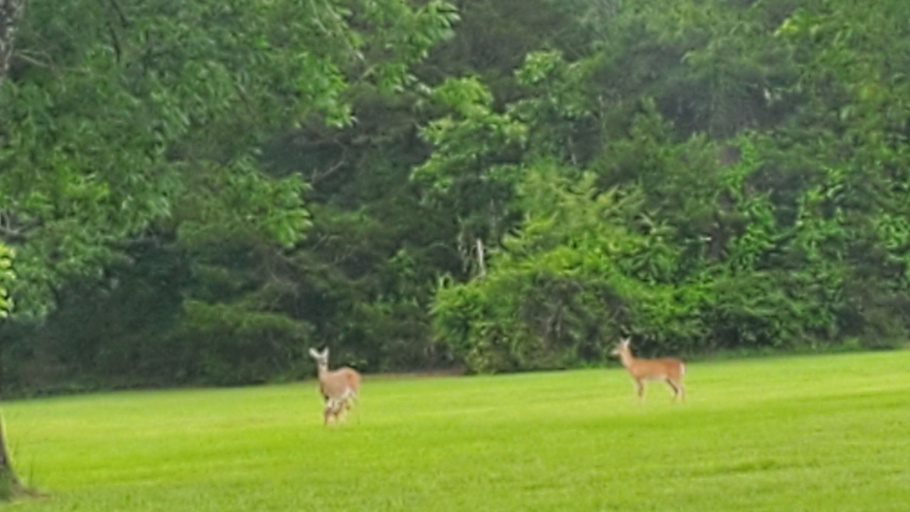 Photo of Others in Higden