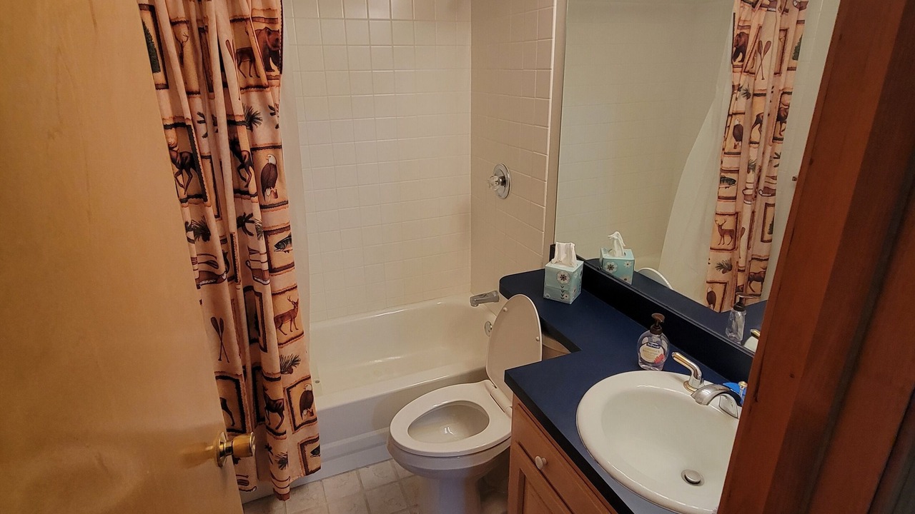 Photo of Bathroom in Olmstedville