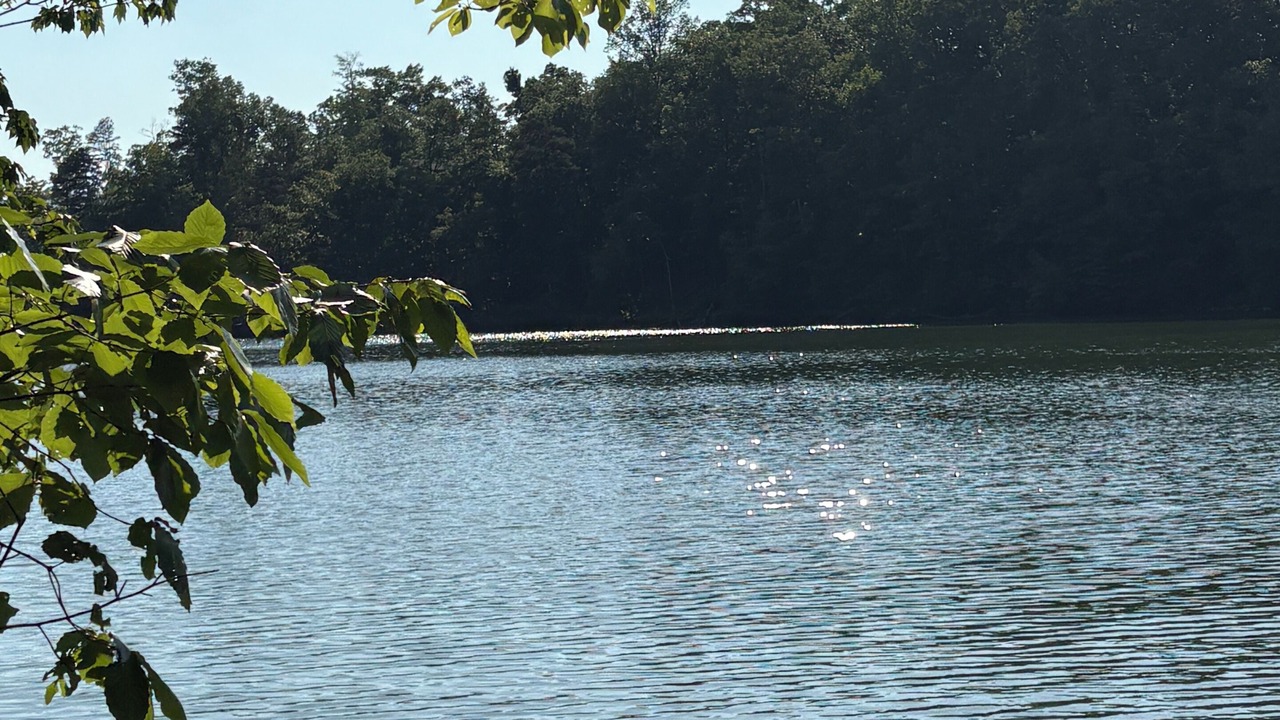 Photo of Others in Mill Spring