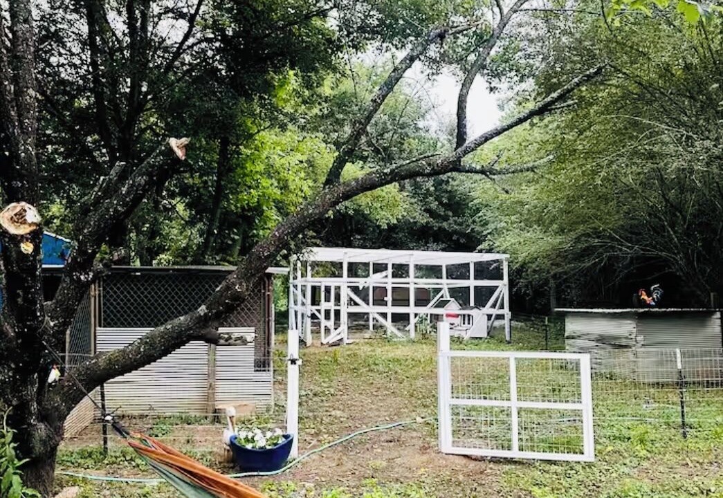 Photo of Outdoor in Mc Caskill