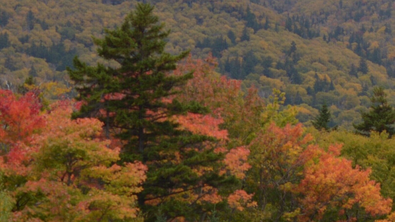 Photo of Others in Hattieville