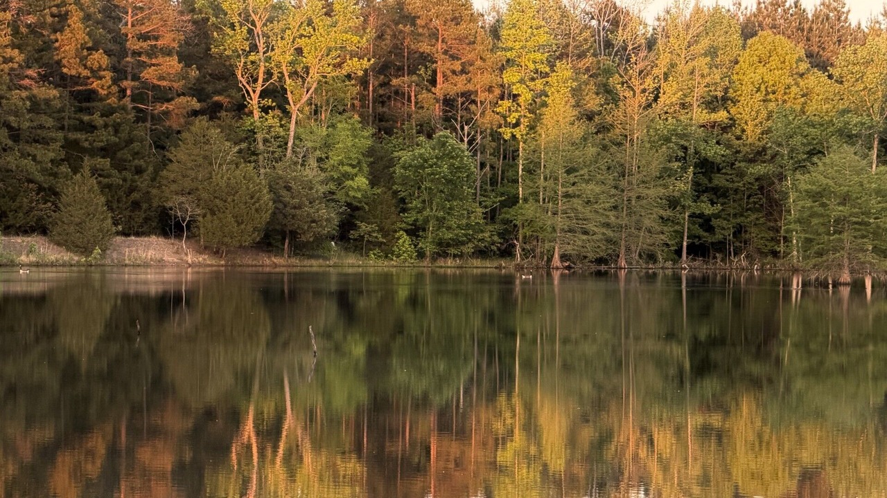 Photo of Others in Hattieville