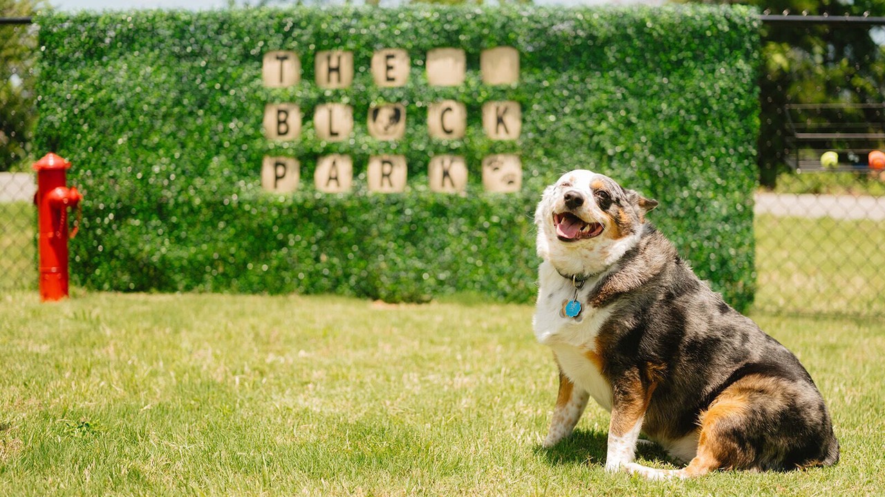 Photo of Outdoor in Bentonville