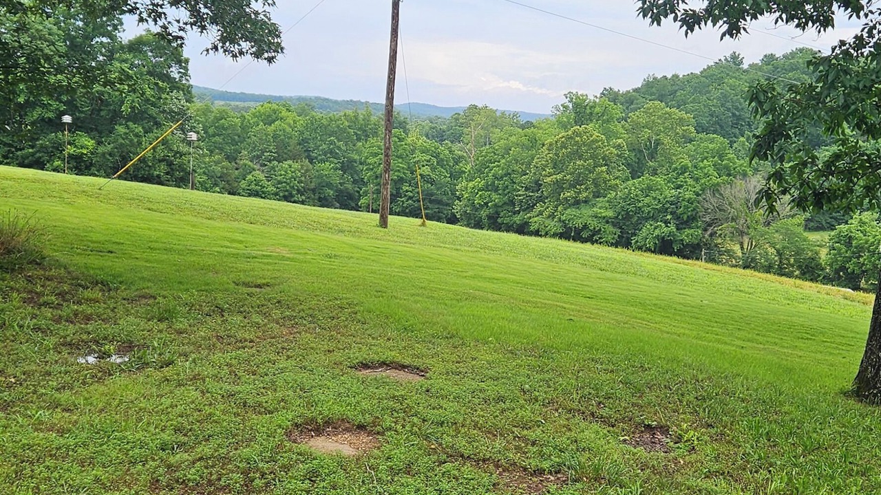 Photo of Outdoor in Silva