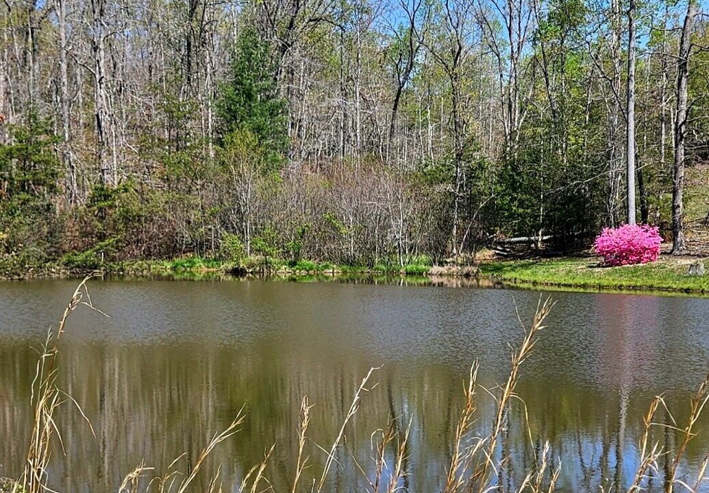 Photo of Others in Mill Spring